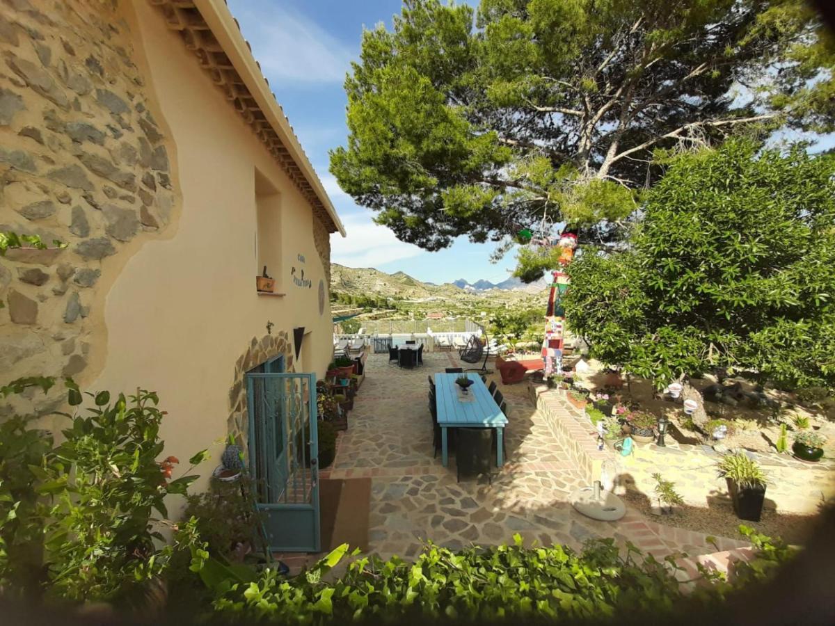 Casa Pura Vida Bed & Breakfast Relleu Bagian luar foto