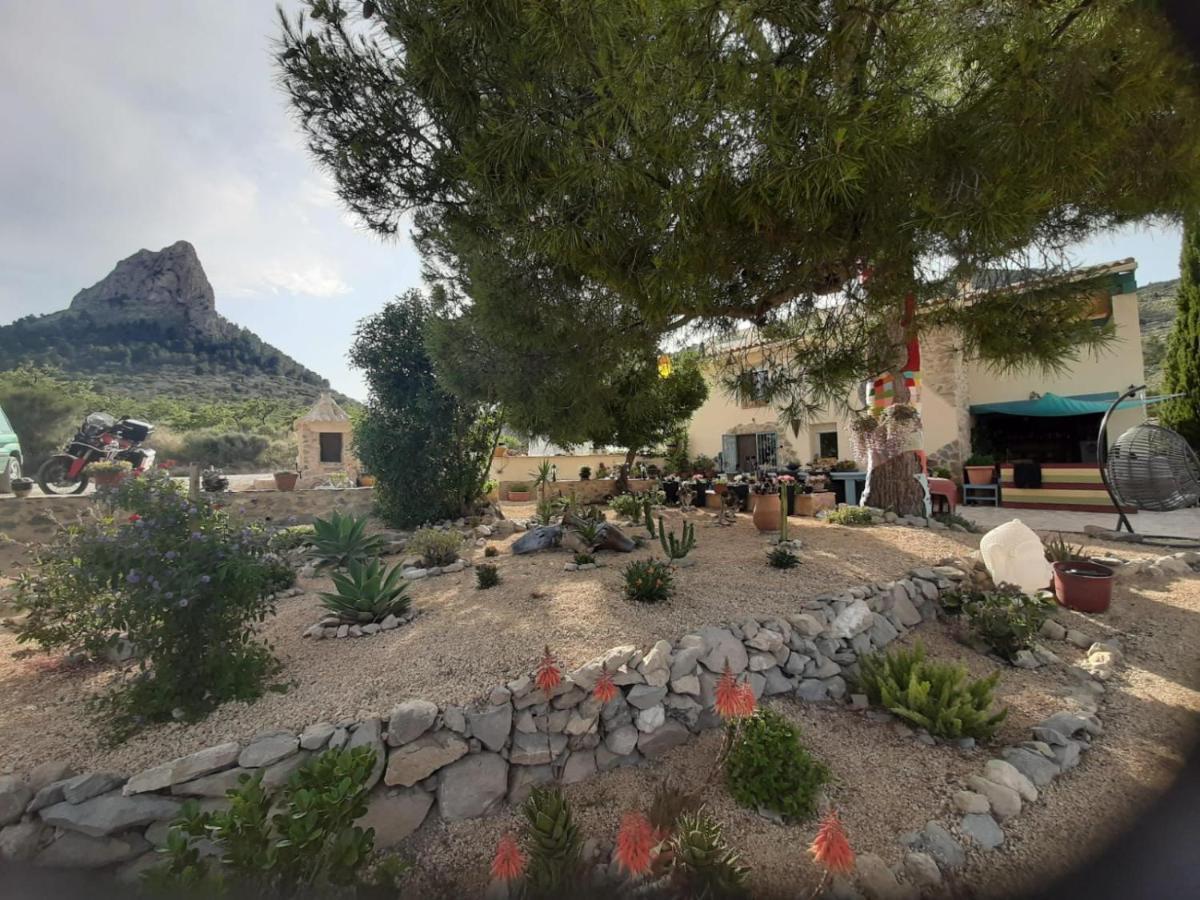 Casa Pura Vida Bed & Breakfast Relleu Bagian luar foto
