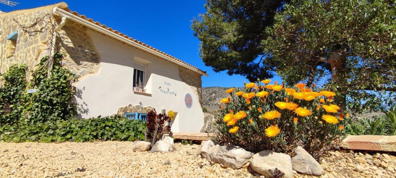 Casa Pura Vida Bed & Breakfast Relleu Bagian luar foto