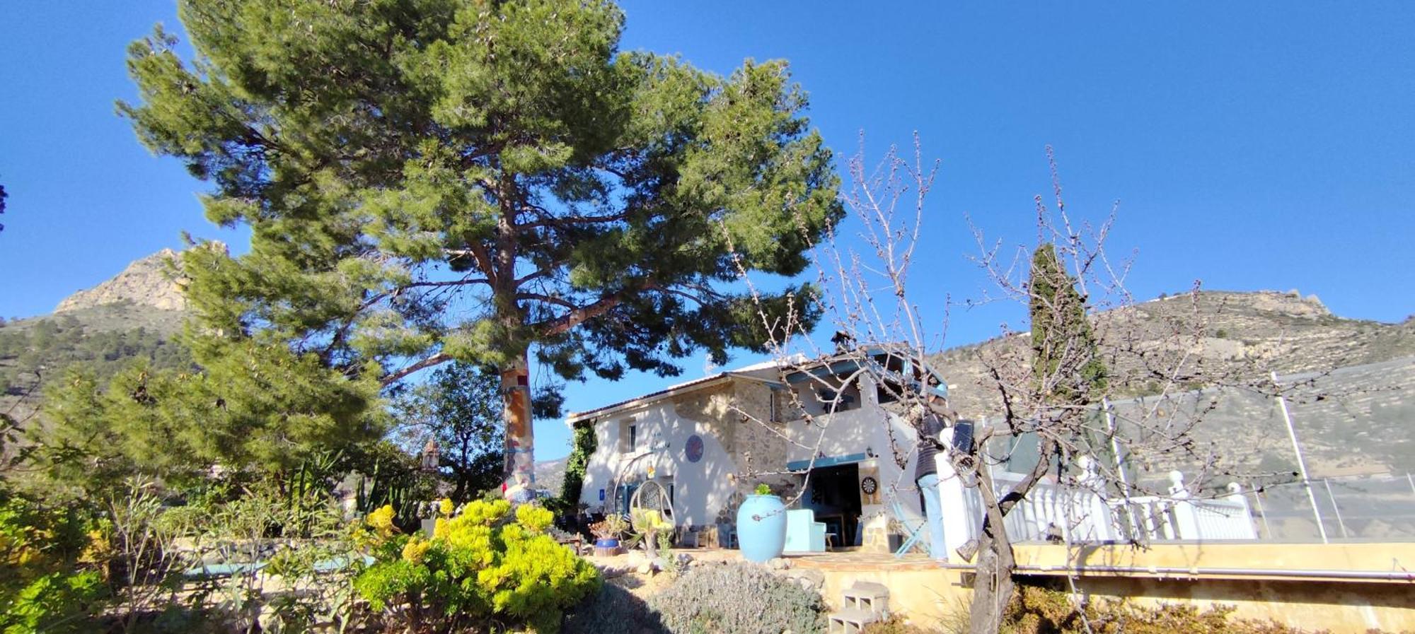 Casa Pura Vida Bed & Breakfast Relleu Bagian luar foto
